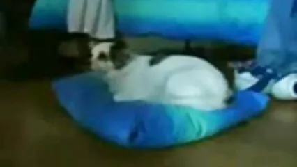 Al primo xxxx amatoriale appuntamento, ha riempito la sua figa di sperma.