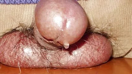 Calde lesbiche video anal amatoriali si sono incontrate per divertirsi.
